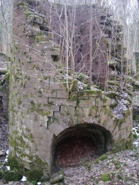 ballade en fôret