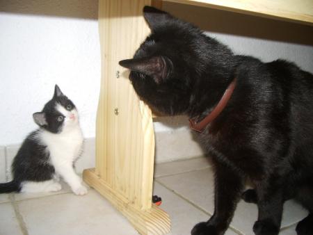 kirikou et hugo