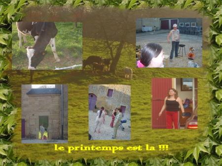 c'est le printemps !!!