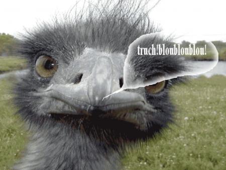 truch!bloubloublou!