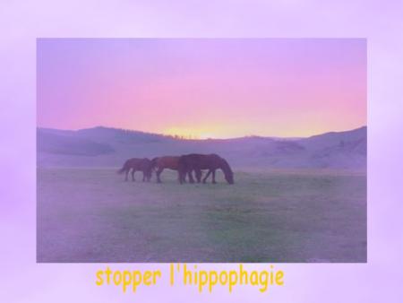 stopper l'hyppophagie