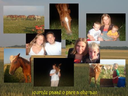 en pleine campagne